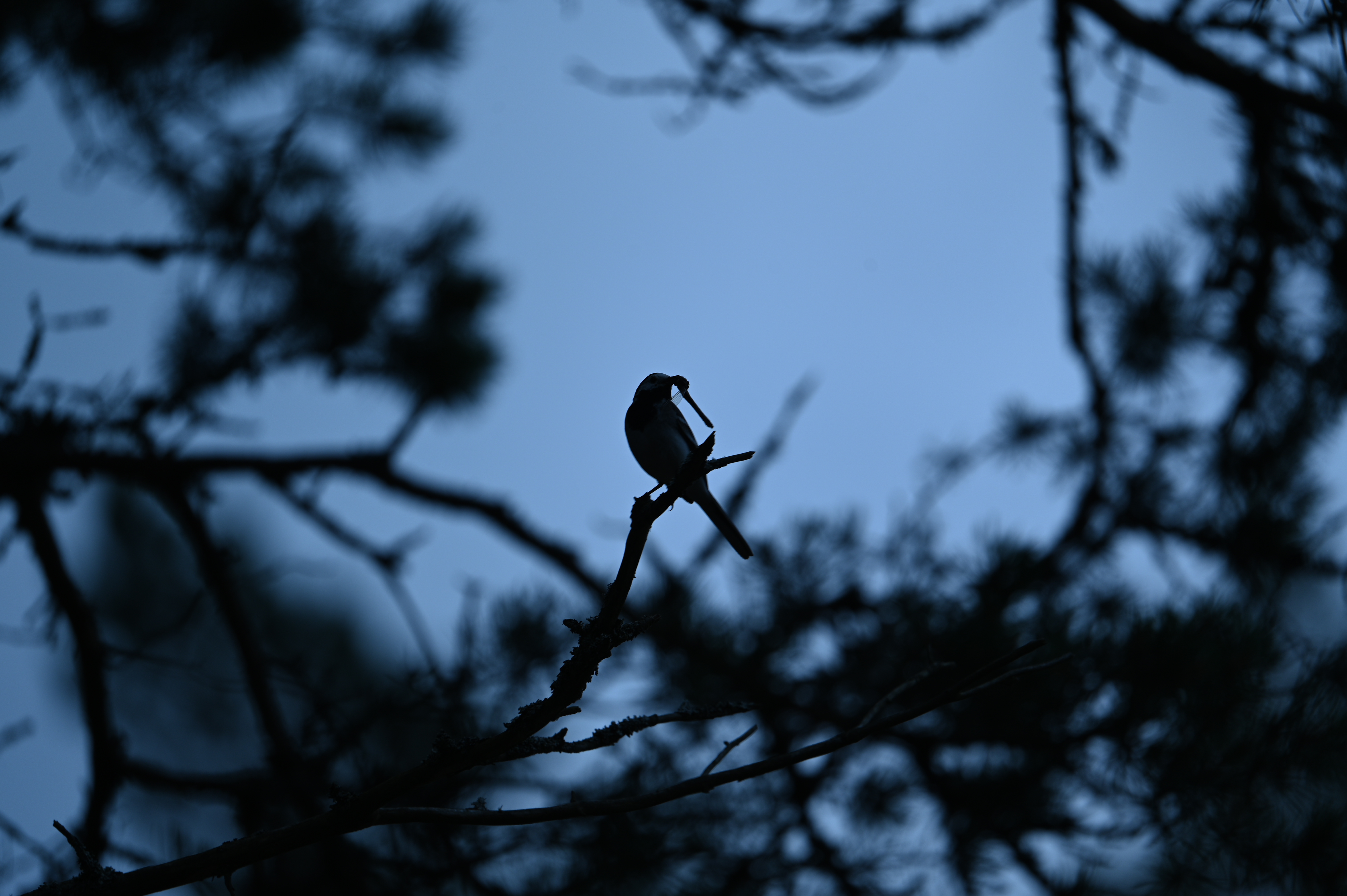 2025/07/09-14 - trip/DSC_0388.JPG